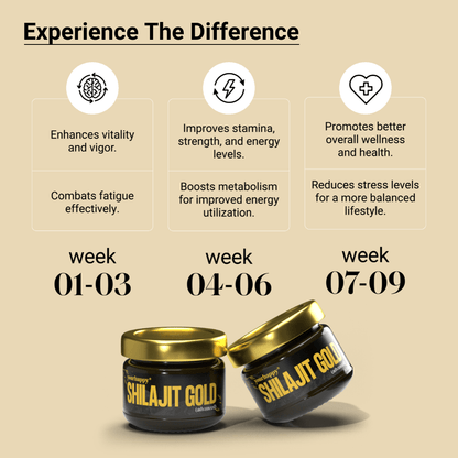 Himalaya Shilajit